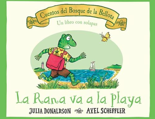 Leer en verano, en invierno, en otoño y en primavera